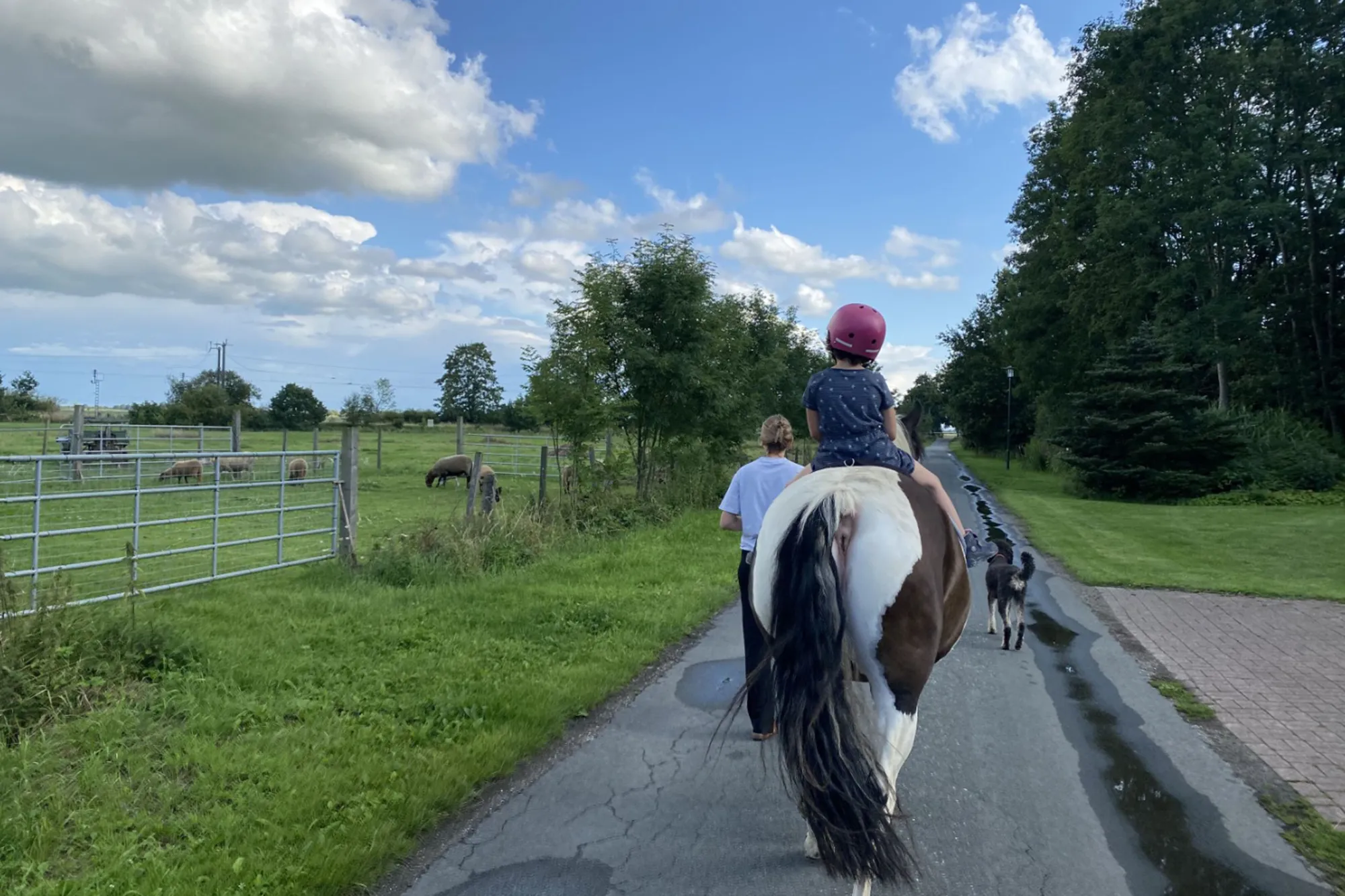 Hof-Lehmgaste-Nortmoor-11