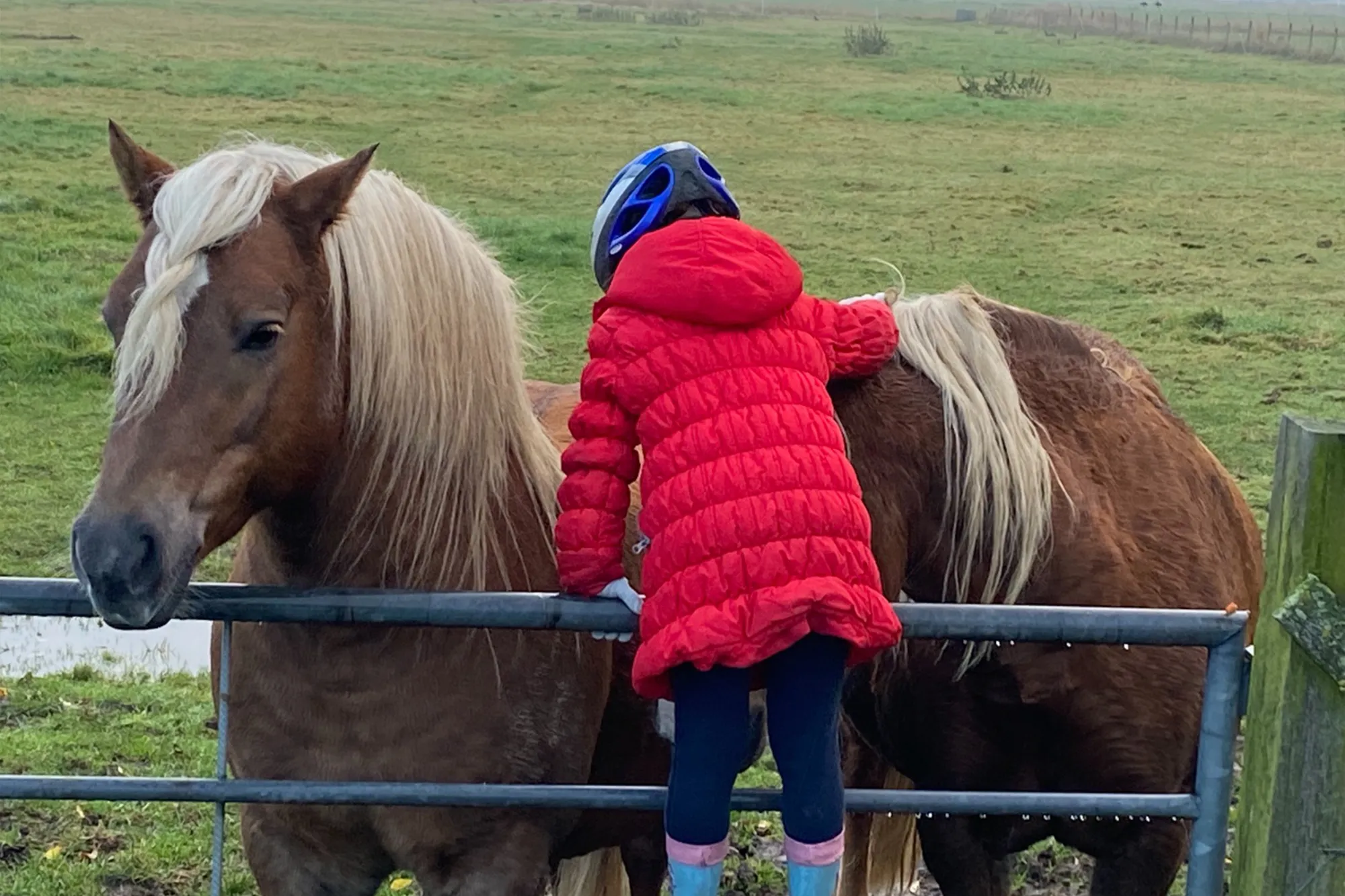 Hof-Lehmgaste-Nortmoor-6